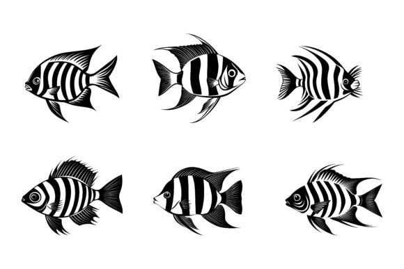 Set of Angelfish: A Versatile Illustration Collection for Creators and Professionals