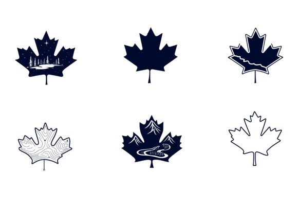 Sycamore Leaves